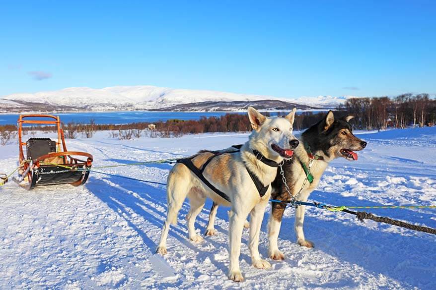 TOP THINGS TO DO in TROMSO, NORWAY IN WINTER